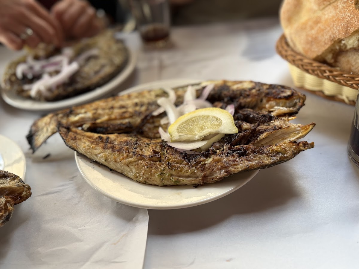 Abchir Grillade supporting photo